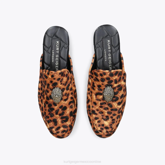 Kurt Geiger mula londres holly eagle BL0H657 | calzados marrón medio hombres