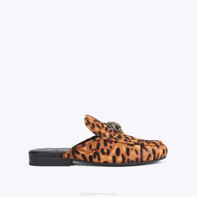 Kurt Geiger mula londres holly eagle BL0H657 | calzados marrón medio hombres