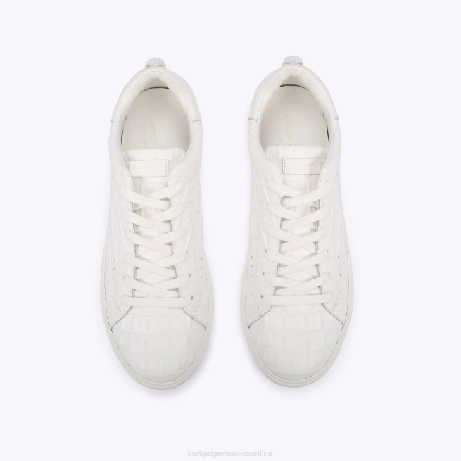 Kurt Geiger cocodrilo laney de londres BL0H603 | calzados blanco hombres