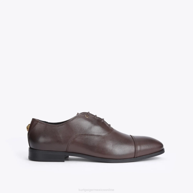 Kurt Geiger londres harris oxford BL0H647 | calzados marrón hombres