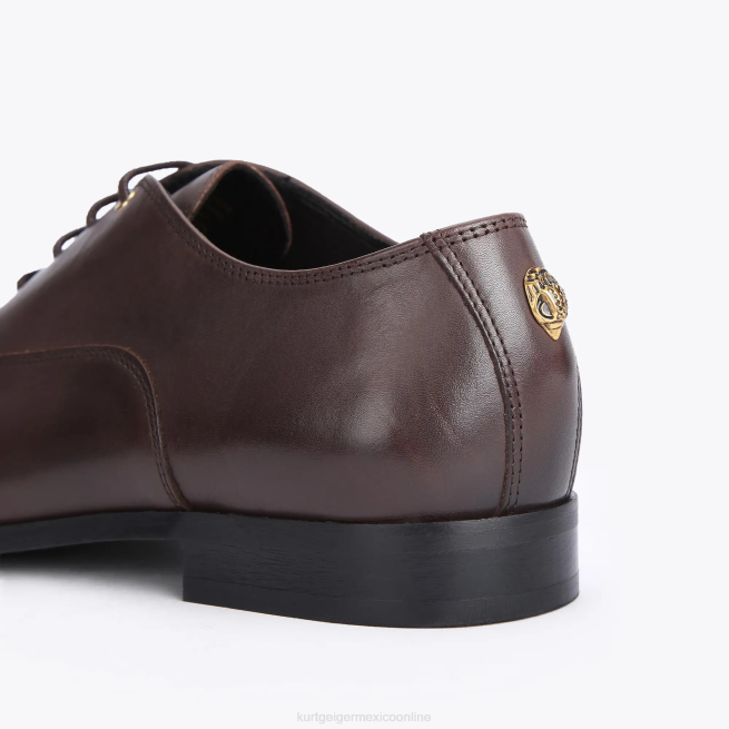 Kurt Geiger londres harris oxford BL0H647 | calzados marrón hombres